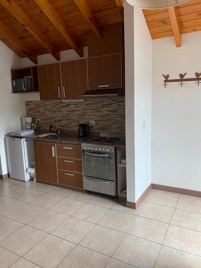 Departamento San Martin De Los Andes Centrico Y Moderno מראה חיצוני תמונה